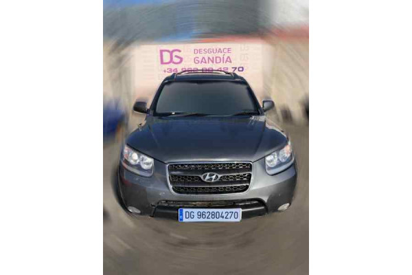 00540  HYUNDAI SANTA FE (CM)  D4EB