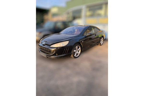 01254  PEUGEOT 407 COUPE  Pack