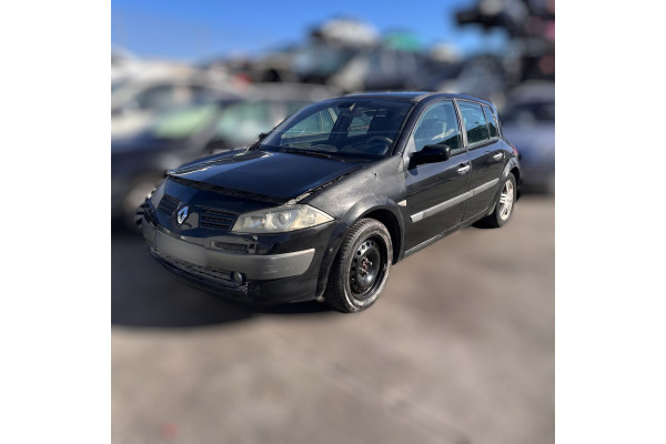 01521  RENAULT MEGANE II BERLINA 5P  F9Q B8