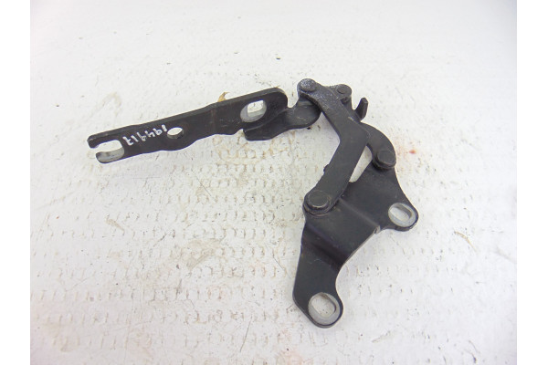 CAPO| BMW- M47N204D4|7060560 BISAGRA CAPO DERECHA - 2008